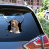 American Pitbull Terrier Sticker Crack Duck Decal Cute Dot