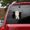 [sk0679-snf-tnt]-ferret-crack-car-sticker-animals-lover