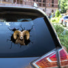Rocky Mountain Bighorn Sheep Crack Stickers for Water Bottle