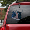 [sk0699-snf-ptd]-deer-white-tail-crack-sticker-animals-lover