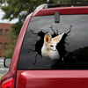 [sk0703-snf-ptd]-fox-crack-sticker-animals-lover