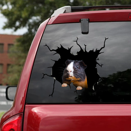 Guinea Pig Sticker Box Funny Vinyl Car Decals Waterproof Sticker