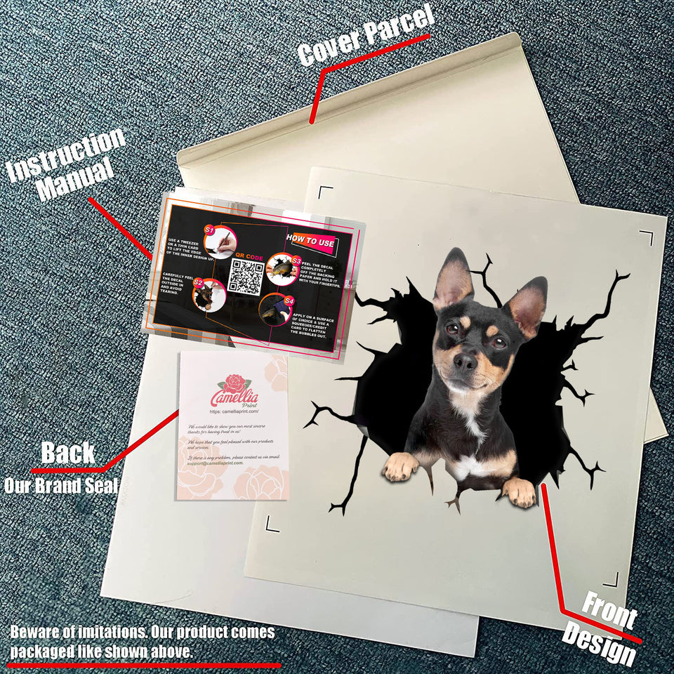 Chihuahua Crack Decal for Wall Pretty Car Window Decals Secret