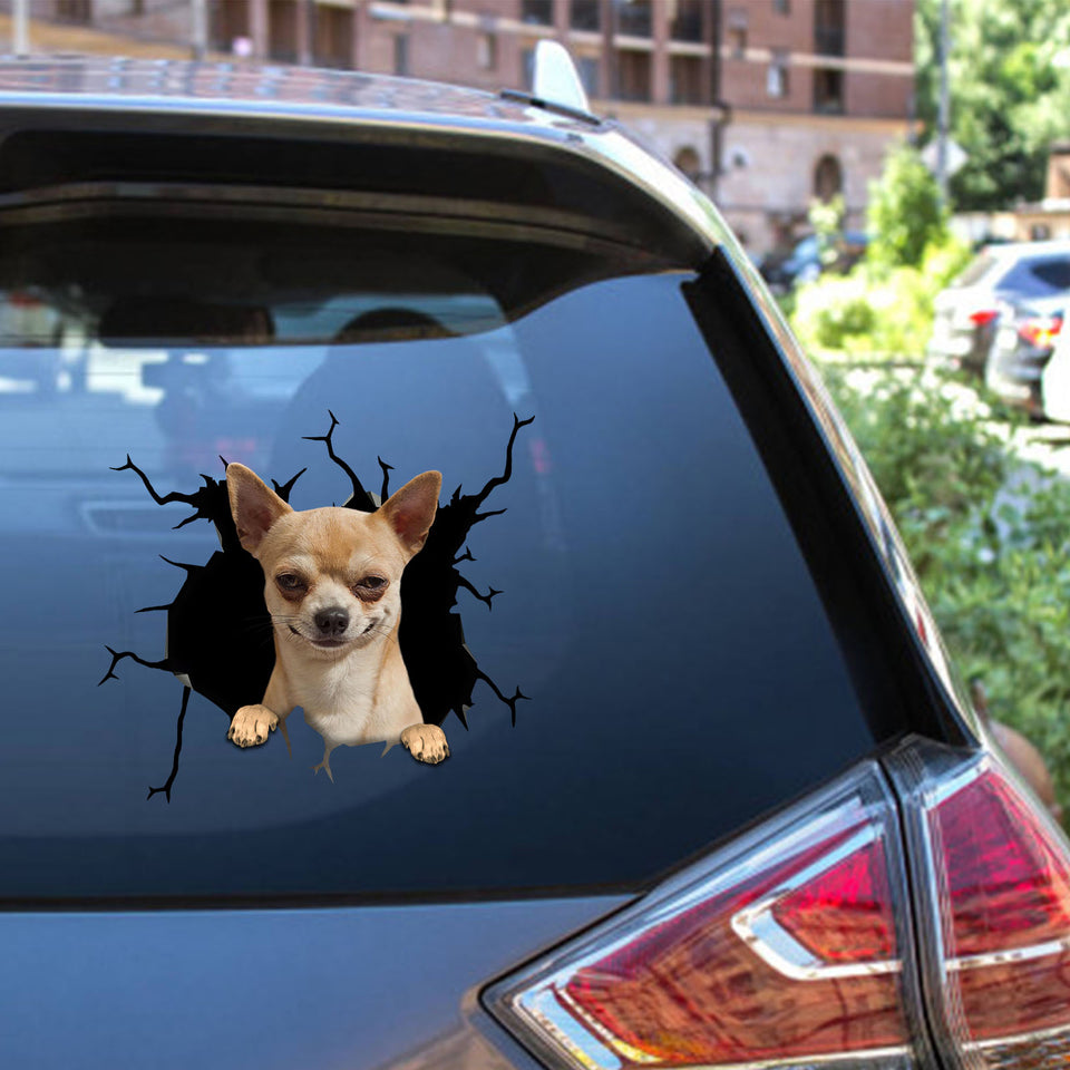 Chihuahua Crack Head Decal Super Cute Custom Sticker Maker 12