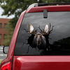 [sk0757-snf-tnt]-moose-crack-car-sticker-animals-lover