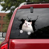[sk0877-snf-tnt]-white-persian-crack-sticker-cats-lover