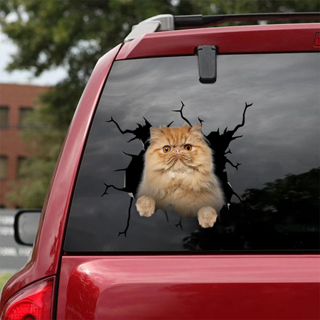 Persian Cat Crack Sticker Emoji Be Cute Custom Window Decals