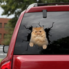 [sk0881-snf-tnt]-persian-cat-crack-sticker-cats-lover