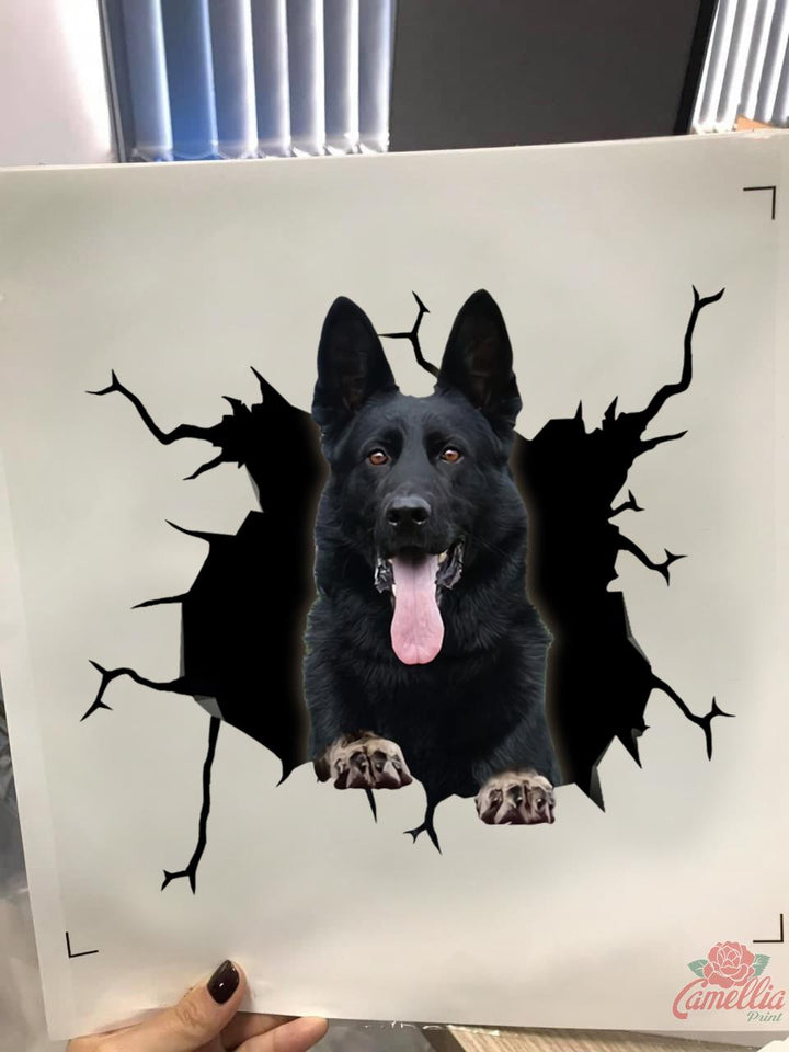 Black German Shepherd Crack Decals for Windows Funny Pictures