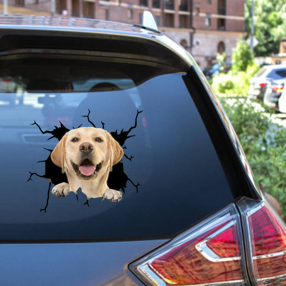 Labrador Crack Decal Ideas Your Cute Jeans Custom Sticker Maker