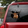 [sk1052-snf-ptd]-longhorn-cattle-crack-sticker-animals-lover