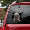 [sk1073-snf-vdt]-american-bully-crack-sticker-dogs-lover