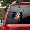 [sk1136-snf-ptd]-native-crack-car-sticker-
