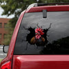 [sk1152-snf-lad]-chicken-crack-sticker-poultry-lover