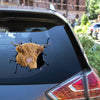 Highland Cow Crack Decal for Wall Super Cute Custom Sticker