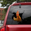 [sk1202-snf-lad]-chicken-crack-sticker-poultry-lover