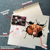 Scottish Highland Cow Crack Bone Sticker Fun Bumper Stickers One