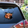 Scottish Highland Cow Crack Bone Sticker Fun Bumper Stickers One