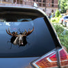 Moose Deer Crack Decal Window Wiper Happy Custom Wall Decal