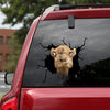 [sk0756-snf-tnt]-funny-camel-crack-car-sticker-animals-lover