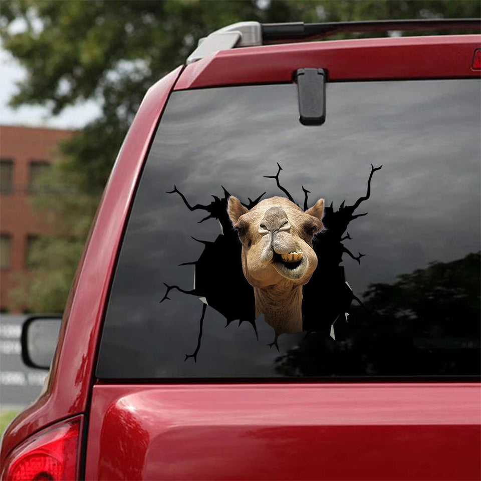 Funny Camel Crack Decal Sticker Car Super Cute Custom Decals Best Gift For Boyfriend - General die-cut waterproof vinyl sticker decal