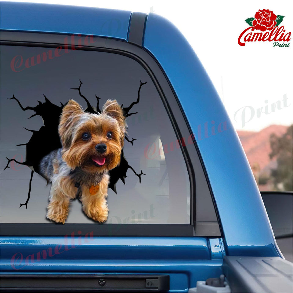 Yorkshire Crack Christmas dog sticker in premium waterproof die-cut vinyl by Camellia Print