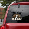 [sk1485-snf-tnt]-st.-bernard-crack-car-sticker-dogs-lover