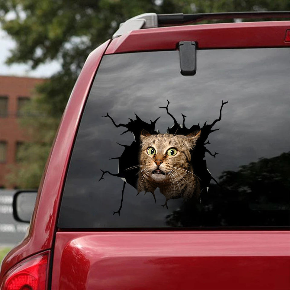 [sk1495-snf-tnt]-bengal-cat-crack-car-sticker-cats-lover