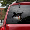 [sk1500-snf-tnt]-guinea-pig-crack-car-sticker-pets-lover