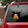 [sk1502-snf-tnt]-guinea-pig-crack-car-sticker-pets-lover