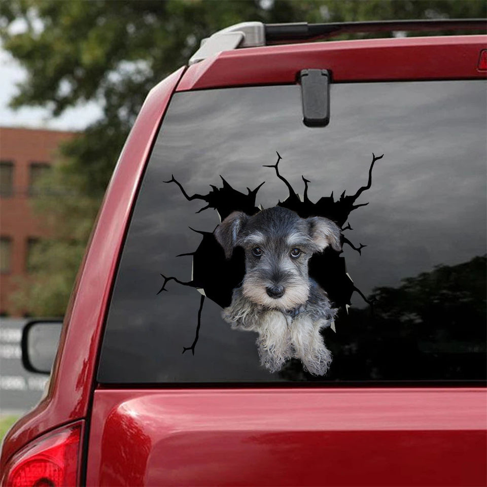 [sk1515-snf-tnt]-schnauzer-crack-sticker-dogs-lover