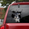 [sk1515-snf-tnt]-schnauzer-crack-sticker-dogs-lover