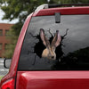 [sk1547-snf-tnt]-rabbit-crack-car-sticker-animals-lover