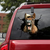 [sk1567-snf-tnt]-pony-horse-crack-sticker-cattle-lover