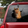 [sk1570-snf-tnt]-pony-horse-crack-sticker-cattle-lover