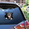 American Pitbull Terrier crack-style dog sticker in premium waterproof die-cut vinyl