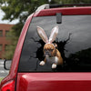 [sk1605-snf-tnt]-boxer-crack-car-sticker-dogs-lover