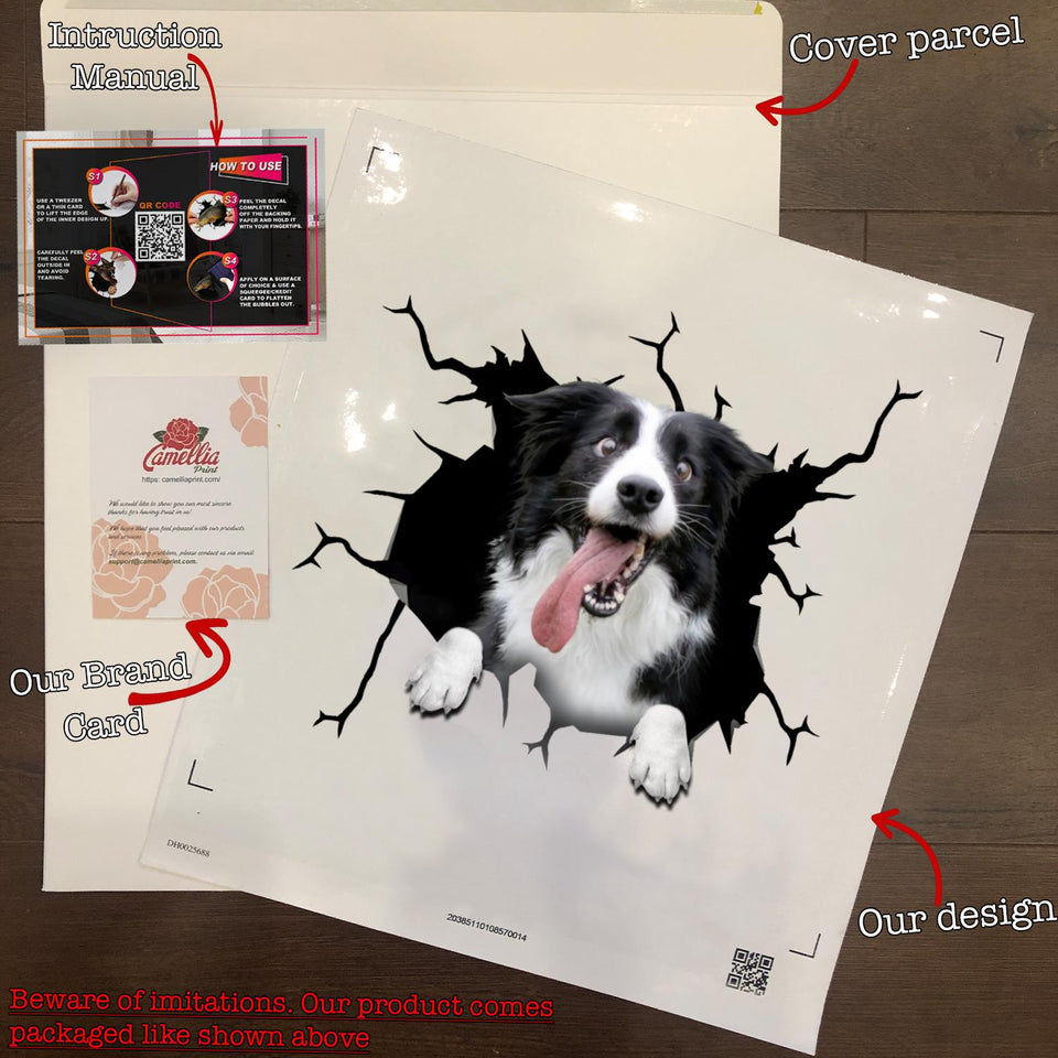 Border Collie crack-style die-cut waterproof vinyl sticker for rear window, laptops, tumblers, and water bottles