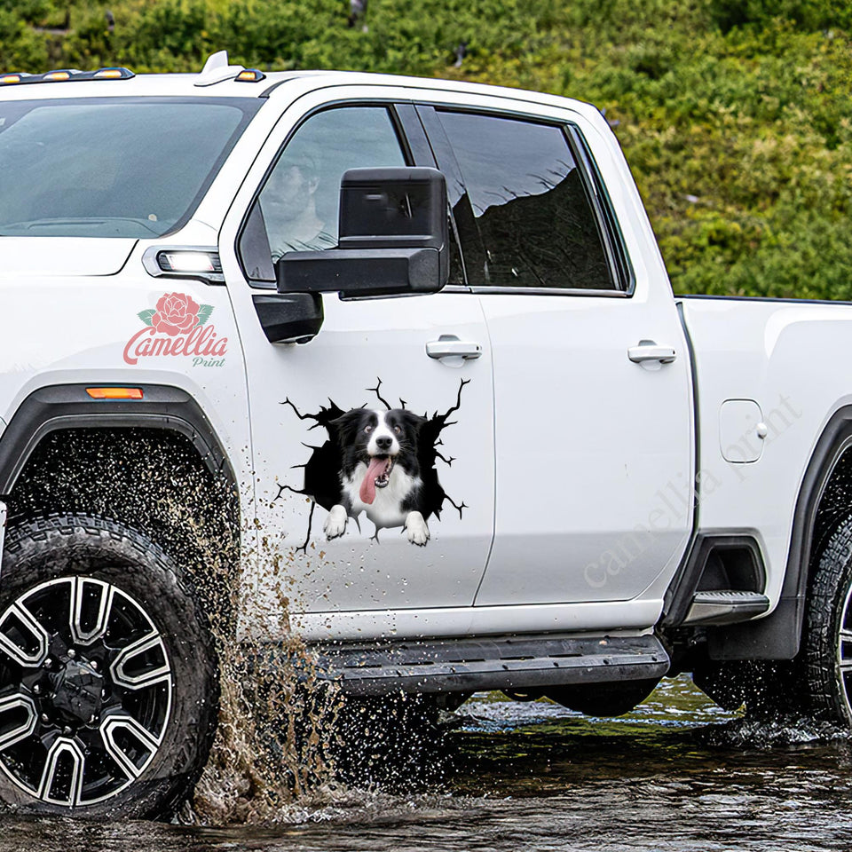 Border Collie crack-style die-cut waterproof vinyl sticker for rear window, laptops, tumblers, and water bottles