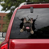 [sk1639-snf-lad]-french-bulldog-crack-car-sticker-dogs-lover