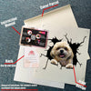 Shih Tzu Crack die-cut funny dog sticker on waterproof, UV-resistant vinyl for cars, laptops, and water bottles