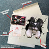 Shih Tzu crack dog sticker sheets in cute waterproof vinyl decals