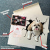Shih Tzu Crack die-cut waterproof vinyl sticker for car windows, laptops, tumblers, and water bottles
