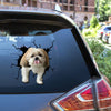 Shih Tzu Crack die-cut waterproof vinyl sticker for car windows, laptops, tumblers, and water bottles