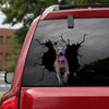 [sk1693-snf-lad]-great-dane-crack-car-sticker-dogs-lover