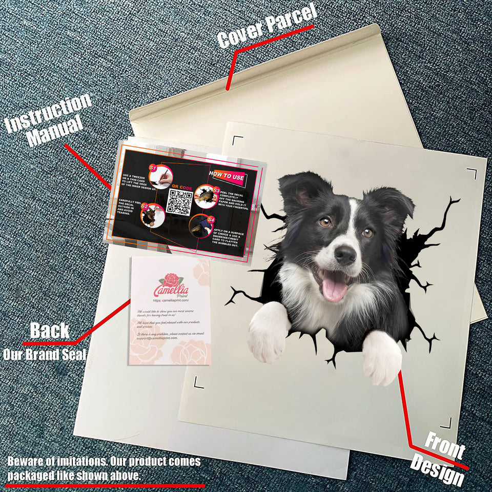 Border Collie crack sticker decal in waterproof, UV-resistant vinyl for laptops, tumblers, water bottles, and windows