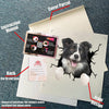 Border Collie crack sticker decal in waterproof, UV-resistant vinyl for laptops, tumblers, water bottles, and windows