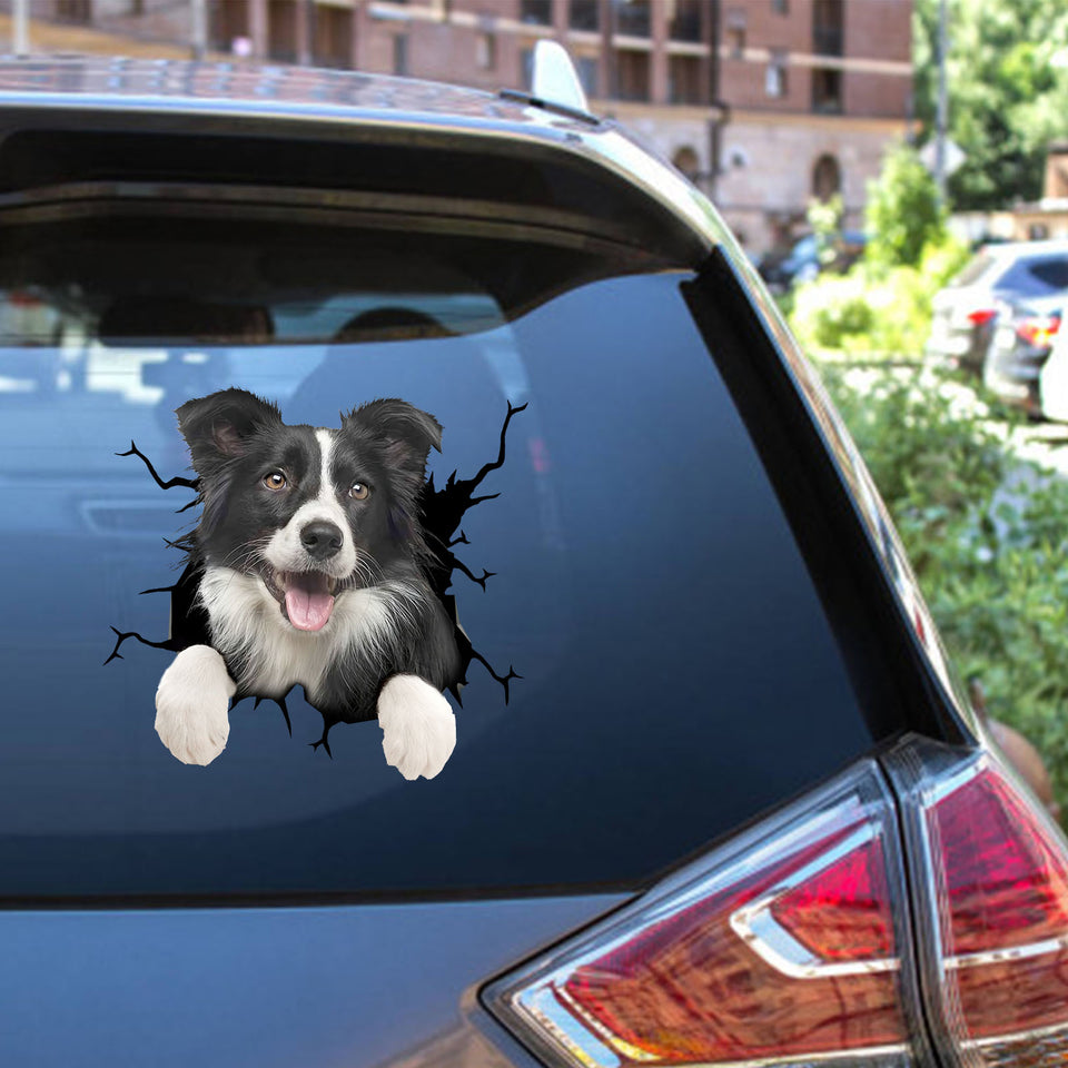 Border Collie crack sticker decal in waterproof, UV-resistant vinyl for laptops, tumblers, water bottles, and windows