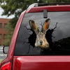 Hare Crack Decals For Windows Lovely Computer Stickers Birthday Gift For Husband - General die-cut waterproof vinyl sticker decal