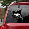 [sk1741-snf-tnt]-skunk-crack-car-sticker-hunting-lover